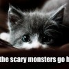 kitten-fright